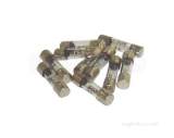 Worcester 87161560000 Fuse 2a