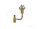 Worcester 87161064950 Pressure Switch Kit