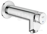 Purchased along with Grohe Euroecocs Self-closing Conc Shower 36268000