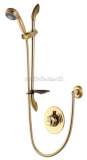 Aqualisa Aquavalve 700.50 Semi-recessed Valve Gold Plated