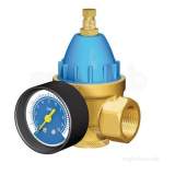 Flexcon 3/4 Inch Adjustable Prv C/w Gauge