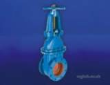 Hnh 1552d Cast Iron Gate Valve 100mm