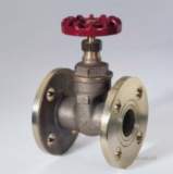 Crane D160 Bste Bronze Gate Valve 25