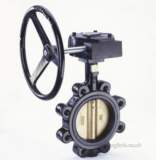 Crane F629 G/op Lug Butterfly Valve 100