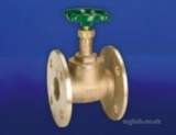 Hnh-17pn16 Flanged Bronze Globe Valve 15