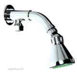 Bttm Entry Extd Shower Arm And Antiscale Head