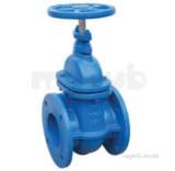 Pegler V951 Ci Pn6 Gate Valve 100