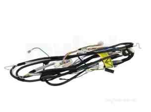 Saunier Duval Boiler Spares -  Saun S1008500 Cable Tree Harness