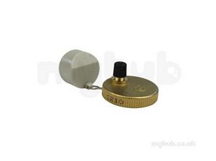 Ariston Boiler Spares -  Mts Ariston 998643 Auto Air Vent