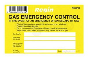 Regin Products -  Regin Regp40 Gecs Warning Sticker 8