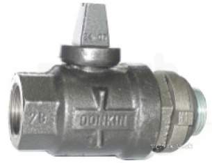 Avk Valves -  Donkin 55ld Sgi Bsp Ball Valve Plus Cap 25