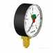 Flamco Flexcon Pressure Gauge 63 Mm 1.25 Inch Back