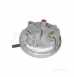 Classeq Glass And Dishwasher 7.12.9/e Pressure Switch-grey