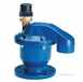 Avk Auto Frost Valve For Hydrant